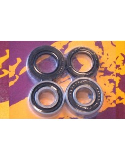 Kit de roulements et joints de roue arrière PIVOT WORKS