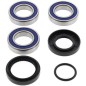 Kit roulements de roue arrière ALL BALLS Honda TRX250EX
