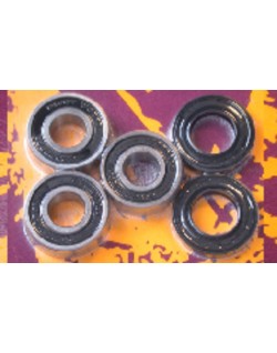 Kit de roulements et joints de roue arrière PIVOT WORKS