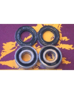 Kit de roulements et joints de roue arrière PIVOT WORKS