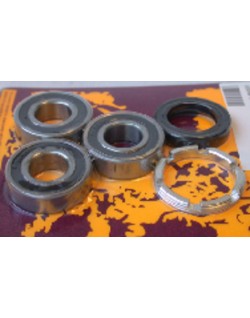 Kit de roulements et joints de roue arrière PIVOT WORKS
