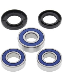 Kit roulements de roue arrière ALL BALLS Suzuki DR350R/DR350SE