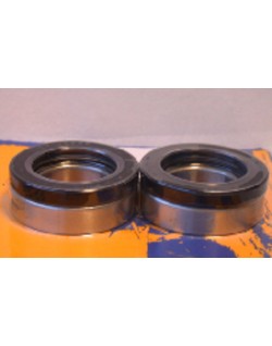 Kit de roulements et joints de roue arrière PIVOT WORKS