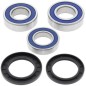 Kit roulements de roue arrière ALL BALLS Yamaha FZ8 Kit roulements de roue arrière ALL BALLS Yamaha FZ8