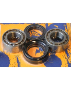 Kit de roulements et joints de roue avant PIVOT WORKS