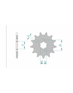 Pignon AFAM acier standard 49102 - 420