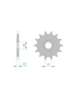 Pignon AFAM acier standard 73202 - 520