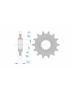 Pignon AFAM acier standard 20607 - 525