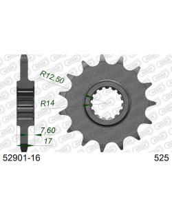 Pignon AFAM acier standard 52901 - 525