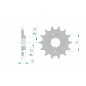Pignon AFAM acier standard 20509 - 520