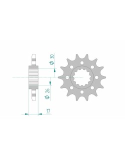 Pignon AFAM acier standard 20615 - 525