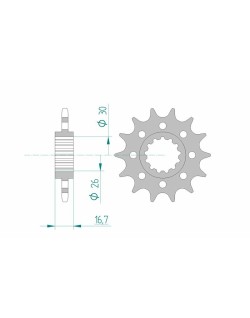 Pignon AFAM acier standard 20613 - 520