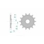 Pignon AFAM acier standard 20206 - 520 Pignon AFAM acier standard 20206 - 520