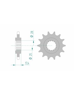 Pignon AFAM acier standard 91800 - 525