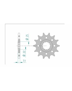 Pignon AFAM acier standard 24511 - 520