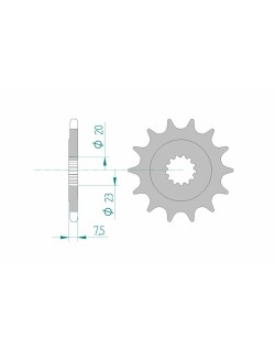 Pignon AFAM acier standard 22401 - 520