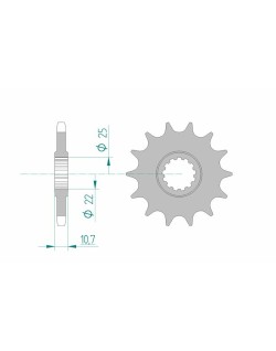 Pignon AFAM acier standard 21606 - 525