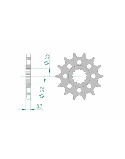 Pignon AFAM acier standard 28403 - 525