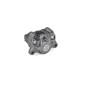 Etrier de frein arrière BREMBO Ø34mm titane