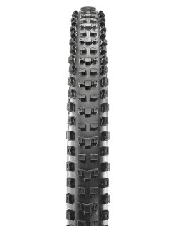 Pneu vélo MAXXIS Dissector 29X2.60 WT/3C/EXO/TR