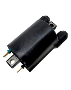 Bobine d'allumage TECNIUM 4060 DZE