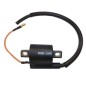Bobine d'allumage TECNIUM 4059 DZE