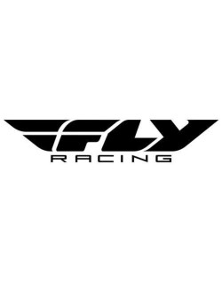 Visière casque FLY RACING Werx-R