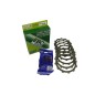 CLUTCH KIT PLTS SPRGS SRC