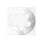 BRAKE ROTOR FIX RND RE