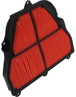 AIR FILTER TRIUMPH 675