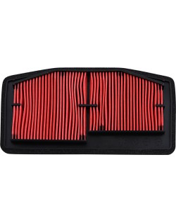 AIR FILTER TRIUMPH