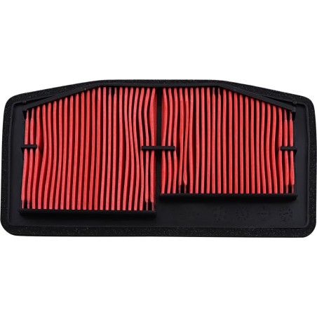 AIR FILTER TRIUMPH