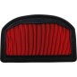AIR FILTER TRIUMPH