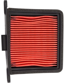 AIR FILTER TRIUMPH