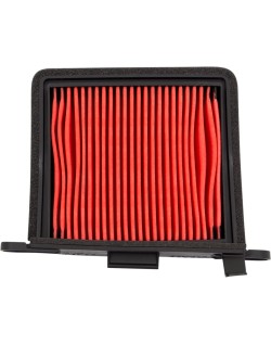 AIR FILTER TRIUMPH