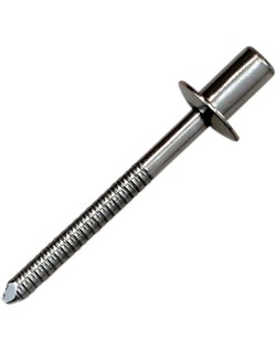 RIVET SS D4 8x8 CLEAR