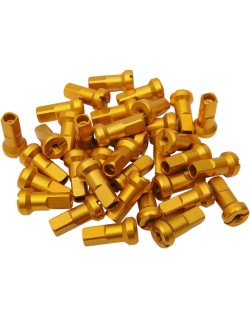 NIPPLE SET MX1 9 GA GOLD