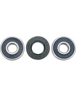 WHEEL BRG KIT-FRT