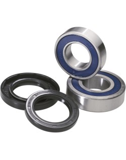 BEARING WHEEL REAR TM