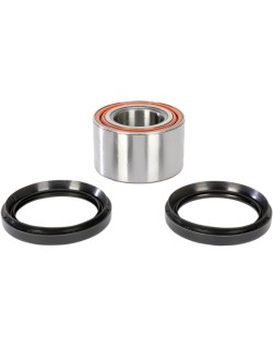 ATV/UTV WHEEL BEARING KI