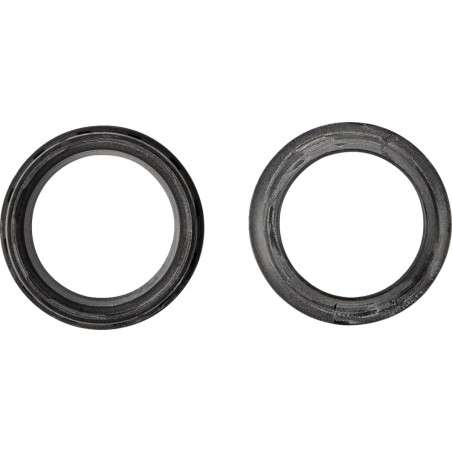 DUST SEAL 43.X54.2