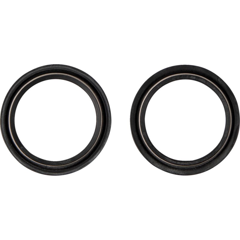 DUST SEAL 48.X58.50 WP