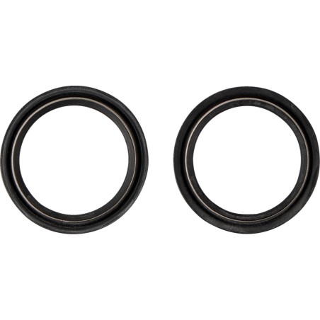 DUST SEAL 48.X58.50 WP