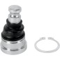 BALL JOINT LWR POL