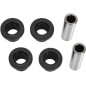 A-ARM BEARING & SEAL KIT
