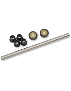 A-ARM BEARING&SEAL KT AC