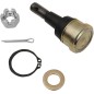 BALL JOINT LWR POL