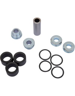 A-ARM BEARING & SEAL KIT