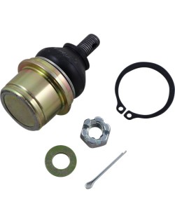 BALL JOINT UPPER CF MOTO