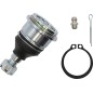 BALL JOINT HIPERF UPR/LWR